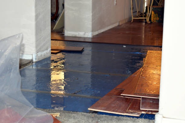 Professional Burst Pipe Cleanup technician working in Zarephath, NJ